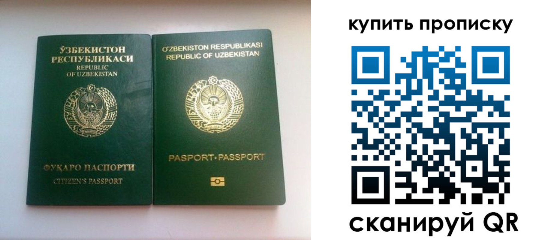 прописка в квартире в Арсеньеве